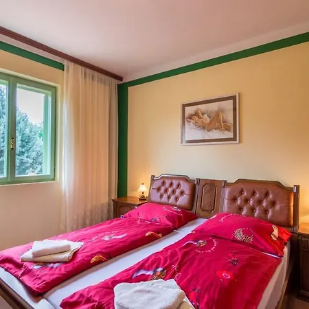 Steffani Villa Labin (Istria)